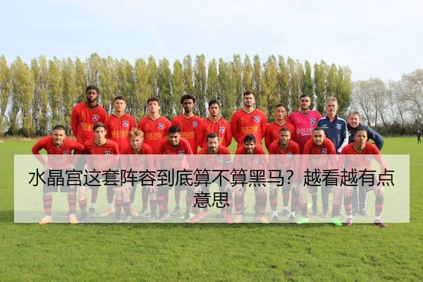 水晶宫这套阵容到底算不算黑马？越看越有点意思