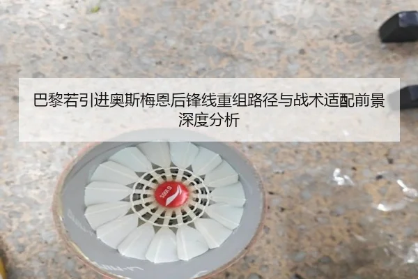 ba-li-ruo-yin-jin-ao-si-mei-en-hou-feng-xian-chong-zu-lu-jing-yu-zhan-shu-shi-pei-qian-jing-shen-du-fen-xi-2-413.jpg