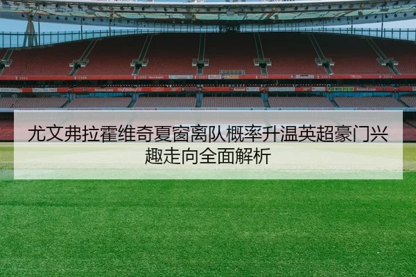 尤文弗拉霍维奇夏窗离队概率升温英超豪门兴趣走向全面解析