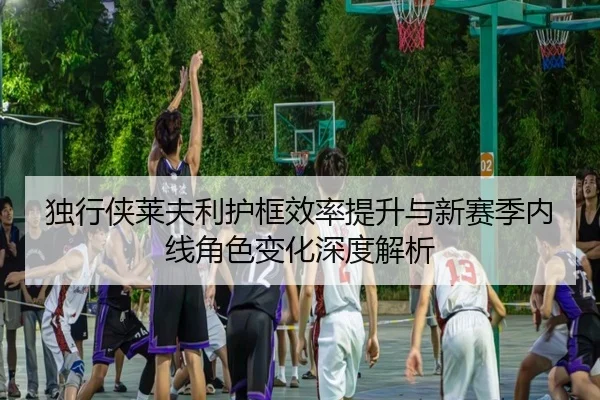 独行侠莱夫利护框效率提升与新赛季内线角色变化深度解析