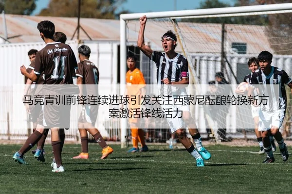 img_1783691878562_2739_1_944.jpg